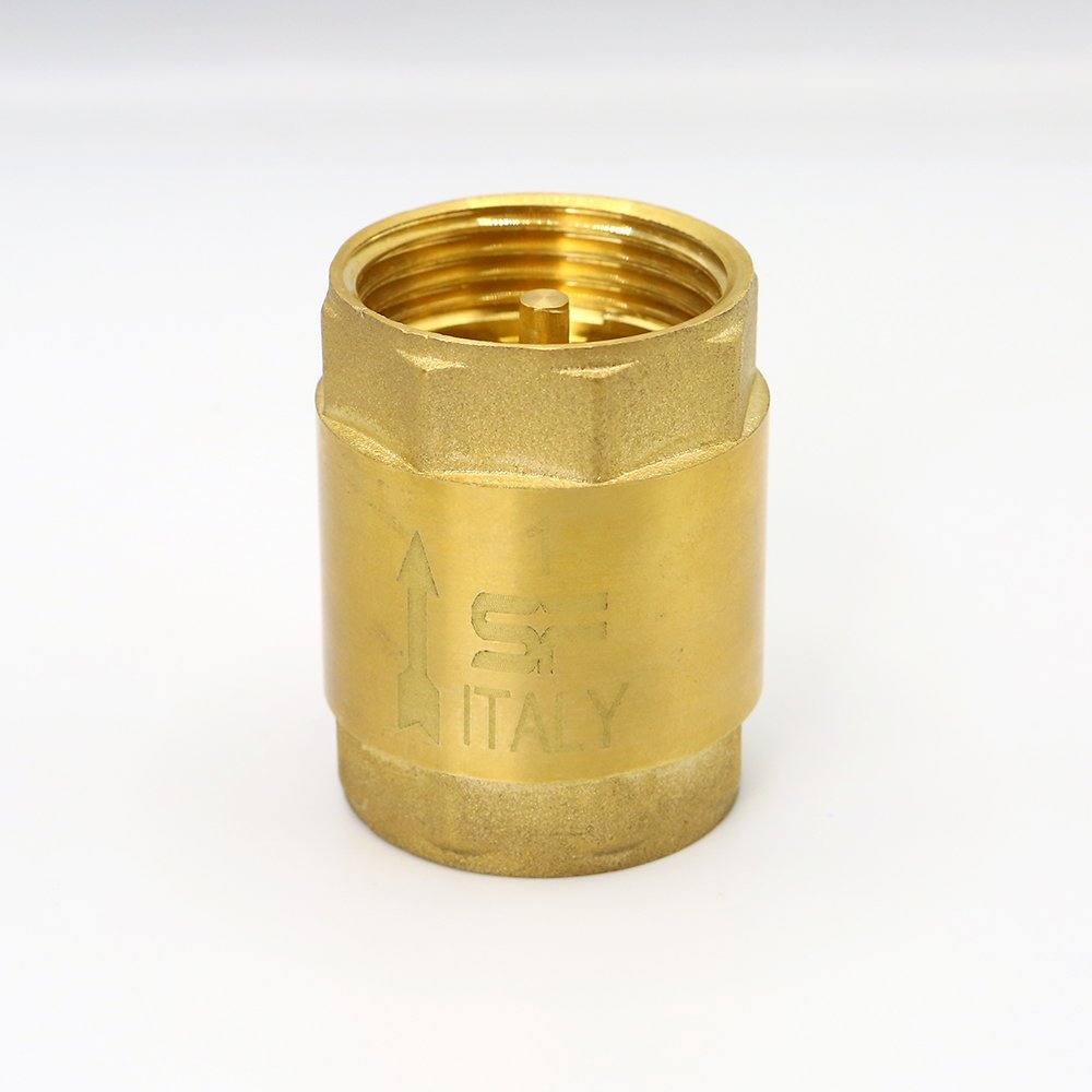 2" Line Check Valve (SF)