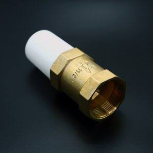 2" Block Valve (HOTO)
