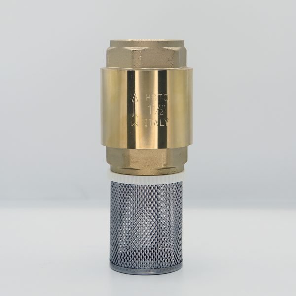 2" Foot Valve (HOTO)