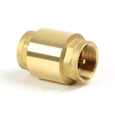 1" Line Check Valve (DF)