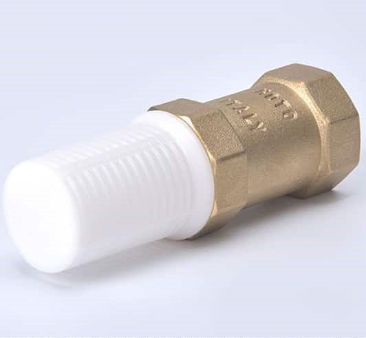 1" Block Check Valve