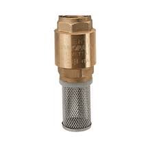 2.5" Foot Valve (DF)