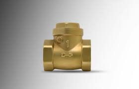 3/4" Non Return Valve (PF)